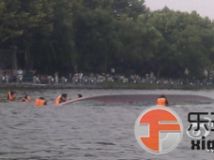 这个龙舟 “竟盖藕冈绝”