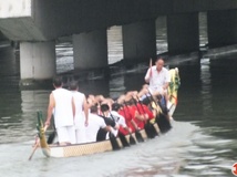 130621南岸 跃龙 兴趣龙 飞马 红金龙 五龙在中心公园