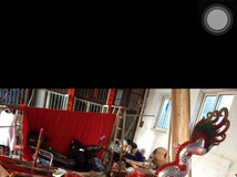 漂亮的龙我们这也有。。