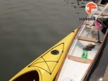 120219温州汇昌河5人龙 开始了