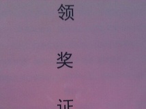 乐清跃龙龙舟俱乐部在厦门集美获得社会男子组第五名