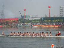 8-16气球 白鸽 开幕