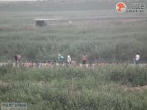 7-7东山南龙舟队