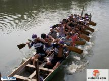 6-18兴趣龙学习张成雷教授的新桨法-感谢张教练免费友情教学