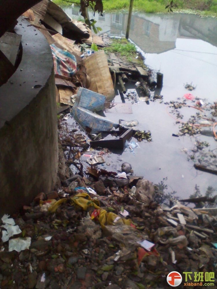 2013-04-01 10.25.19.jpg