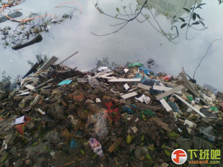 2013-04-01 10.25.25.jpg