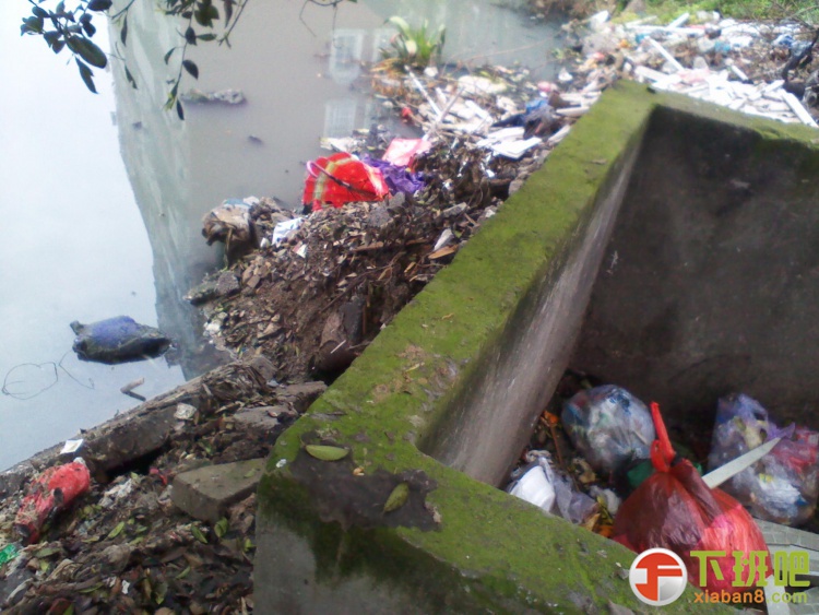 2013-04-01 10.25.34.jpg