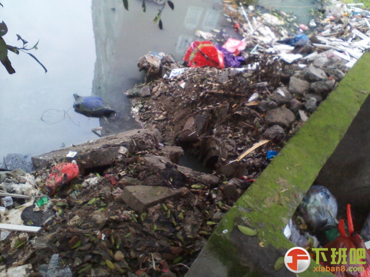 2013-04-01 10.25.44.jpg