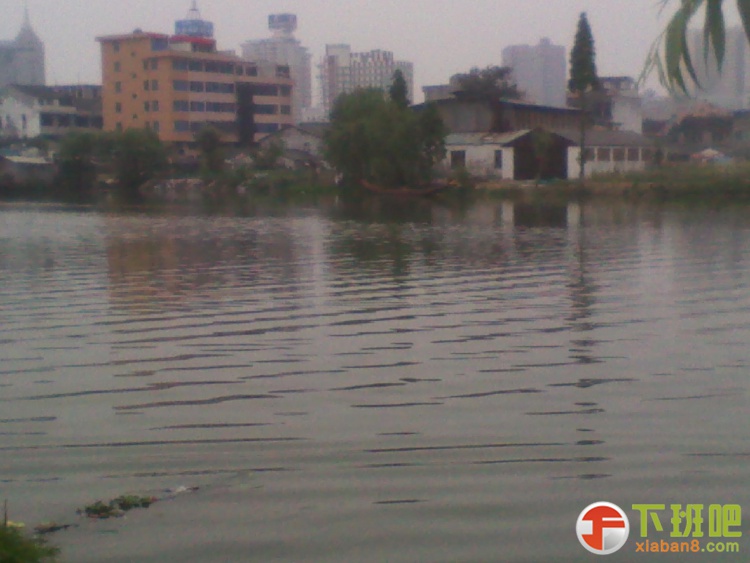 2013-05-03 10.23.23.jpg