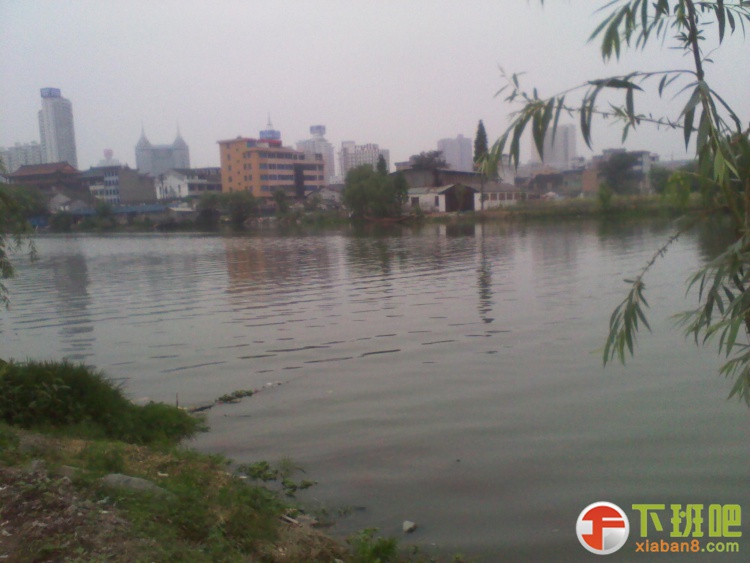 2013-05-03 10.23.35.jpg