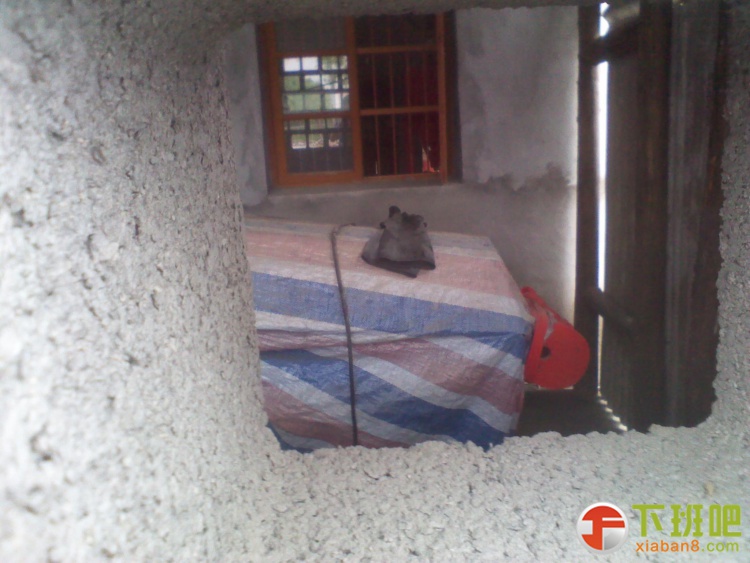 2013-05-03 10.24.01.jpg