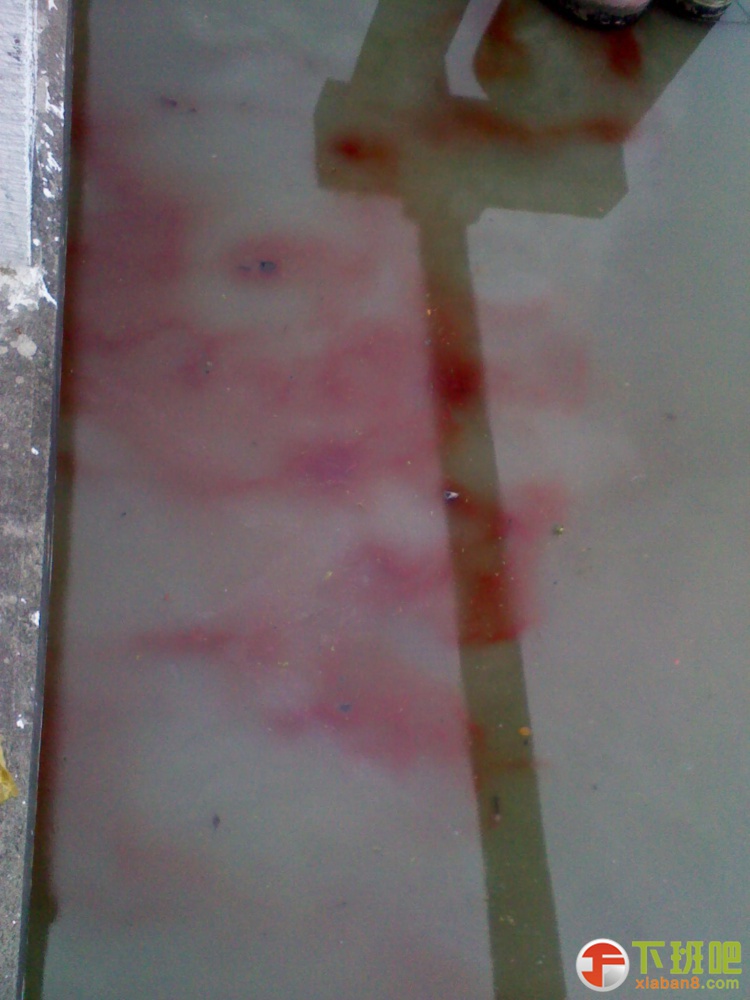 2013-05-03 09.54.38.jpg