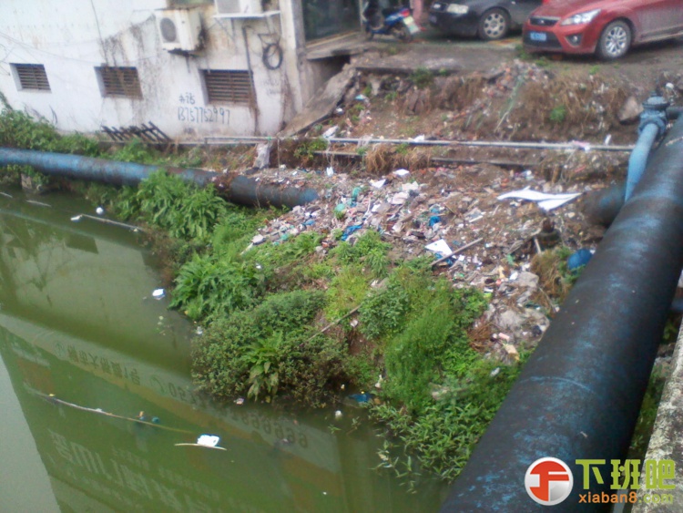 2013-04-05 10.56.22.jpg