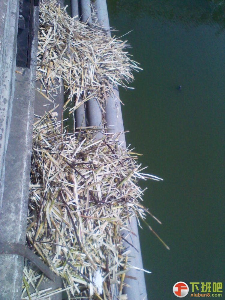 2013-04-09 10.54.54.jpg