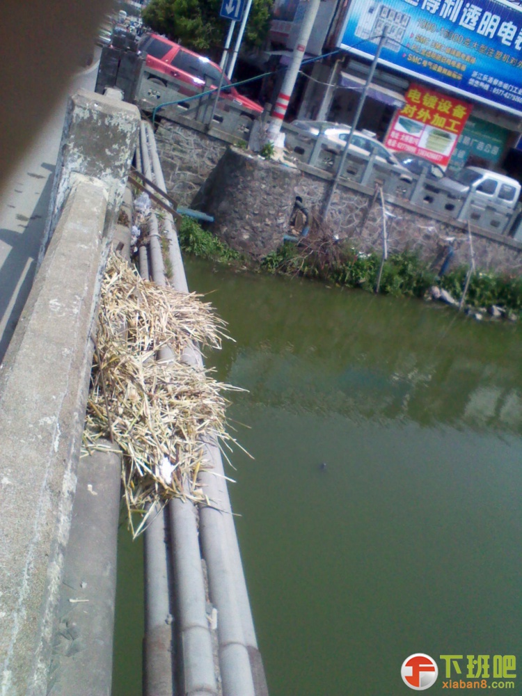 2013-04-09 10.55.06.jpg